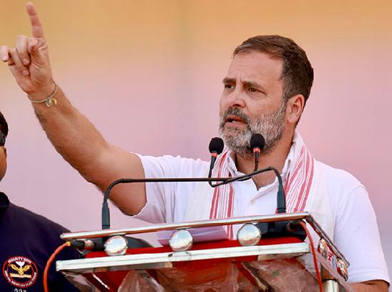 Rahul Gandhi assures support to farmers; announces legal guarantee of MSP as per Swaminathan Commission