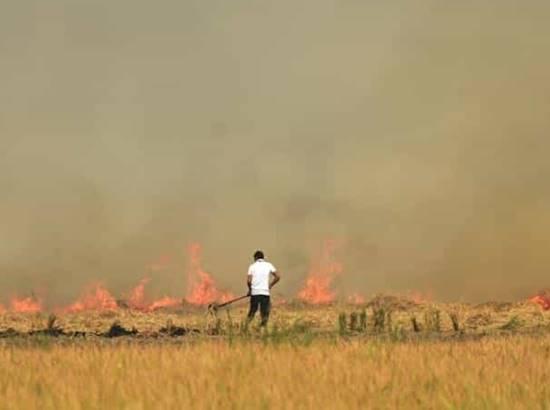 Stubble burning in times of pandemic