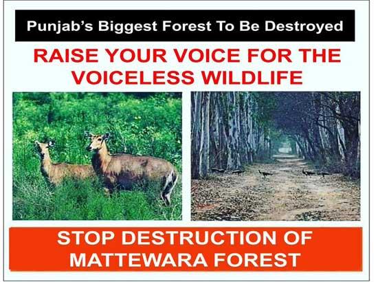 Assault on green cover is unacceptable....Mattewara reserve forest be preserved-Brij Bhushan Goel

