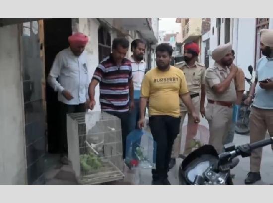 34 parrots illegally held captive in cages recovered from Gurdaspur, case registered