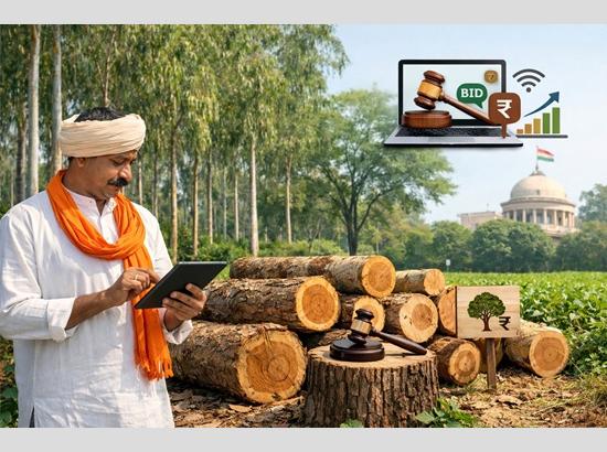 Haryana Govt to launch e-auction portal for sale of Agroforestry trees for farmers