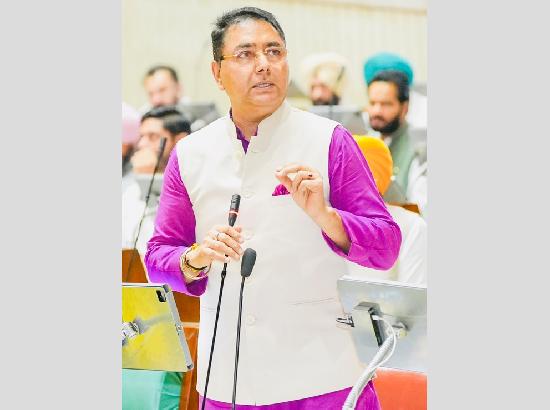 Punjab provided over 68,000 Govt jobs, generated 6.36 lakh private-sector jobs in 4.5 yrs: Aman Arora