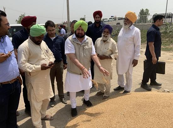 Amarinder asks FCI to purchase moisture laden grains from Mandis without delay
