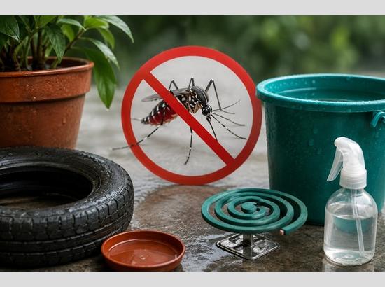 Haryana launches anti-dengue campaign; Free platelet services available at all district hospitals