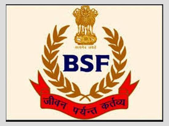 BSF recovers 3 Pakistani drones along Punjab border
