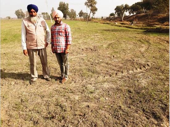 Border village farmer shows way by putting an end to stubble burning