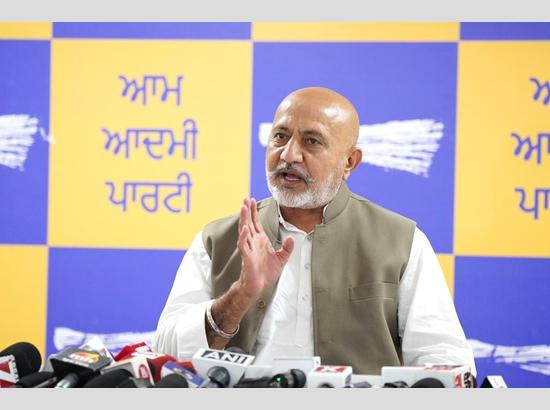 'Yudh Nashean Virudh’ gains ground: 300 drug peddlers nabbed in 15 days