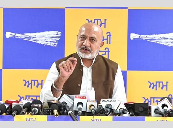 ‘Insulting Punjab Police for Political Drama Is Dangerous’: AAP’s Baltej Pannu slams Ravneet Bittu