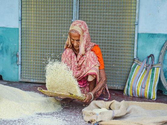 India's basmati rice yield likely to be 5-10% higher this year: Industry leader