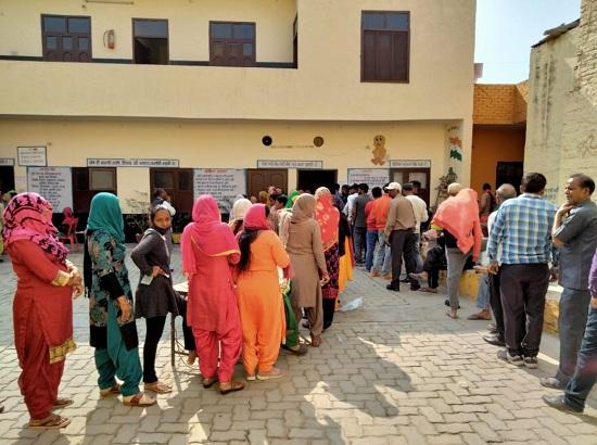 MC Polls: Voters turn up in large numbers in Bathinda (View Pics)