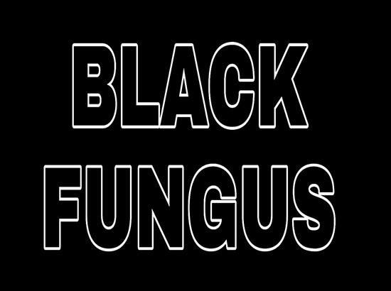 Punjab issues guidelines for diagnosis & treatment of Black Fungus ( Mucormycosis )