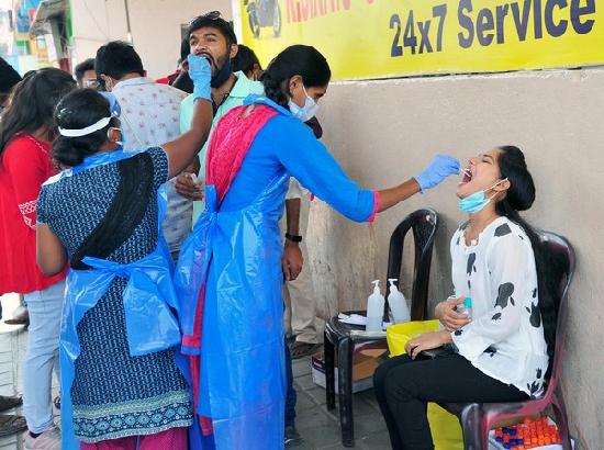 Delhi records 12 deaths in last 24 hrs, lowest since April 3; 228 fresh infections