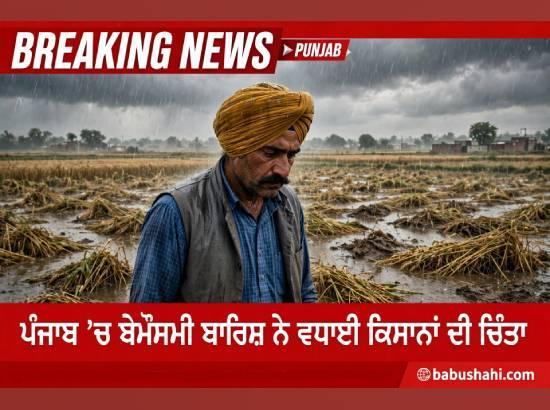 Unseasonal rain in Punjab raises fears of crop damage; Farmers worry over harvest and paddy in Mandis
