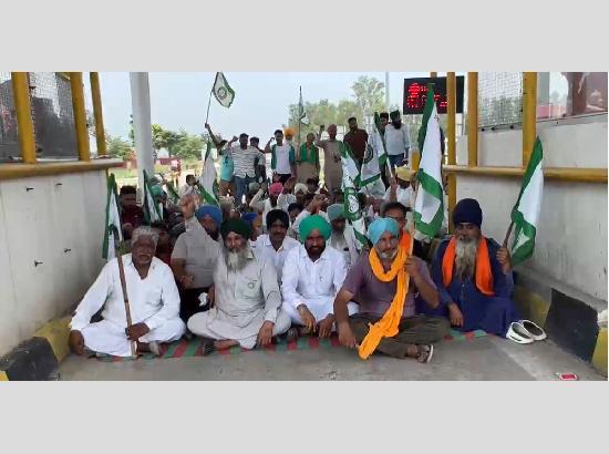 Farmers in Ferozepur throw open toll plazas over Land Pooling, Trade Pact concerns