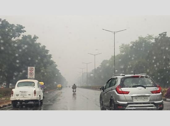 Tricity wakes up to light drizzle; View Pics 