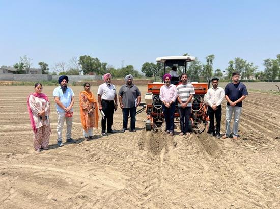 Crop Diversification-Punjab Govt launches pilot project to promote maize cultivation in 6 districts