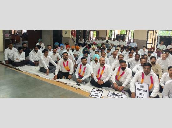 Ferozepur Bar continues chain hunger strike against LADC Policy; eight advocates join protest