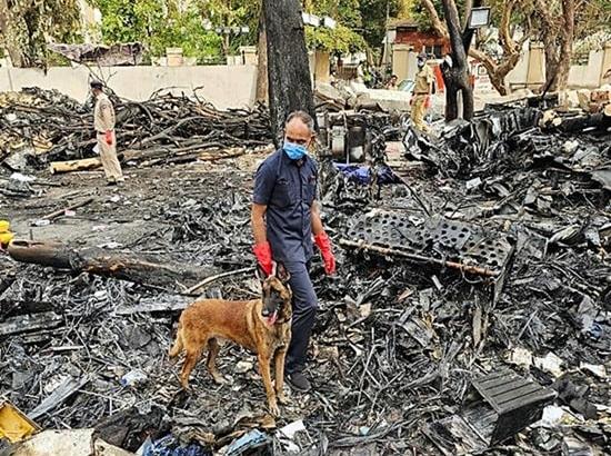 Air India plane crash: 144 DNA samples have been matched, says Gujarat Home Minister