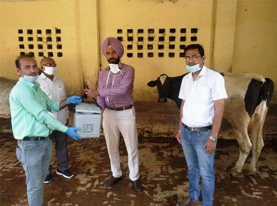 42 Vaccination teams deployed to vaccinate 1.40 Lakh livestock

