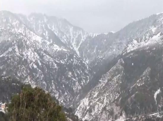 Himachal: Dharamshala and Manali receive heavy snowfall; Tourists rejoice