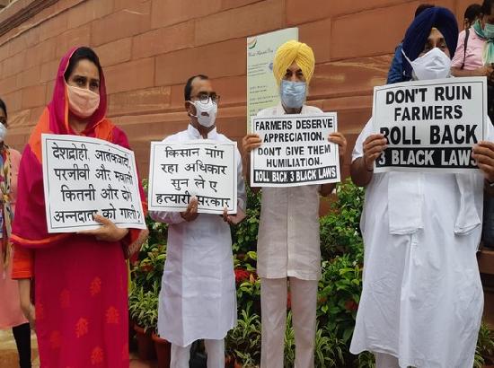 SAD slams Centre for not discussing farmers' issues in Parliament