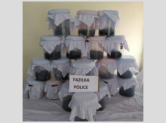 Fazilka police recovers 66 kg Opium, biggest opium recovery of the decade, says DGP