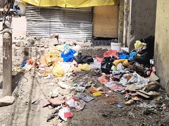Himachal: Garbage piles tarnish Manali's image amid peak tourist season