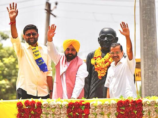 Gujarat: AAP's Gopal Italia wins Visavadar Assembly bypoll by margin of 17,554 votes