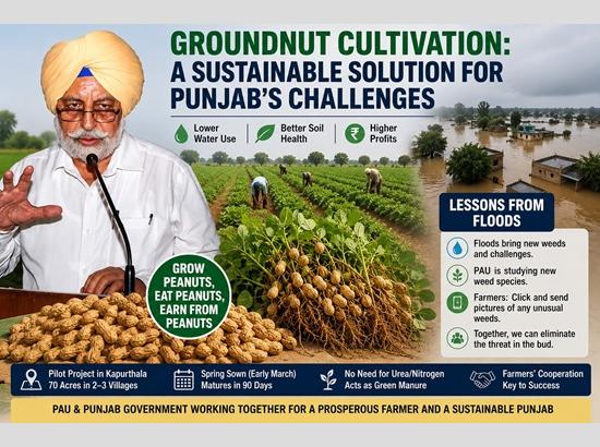 Exclusive Interview: PAU VC Dr. S.S Gosal warns of post-flood weed threat, pushes groundnut as Punjab’s sustainable future; Watch Video