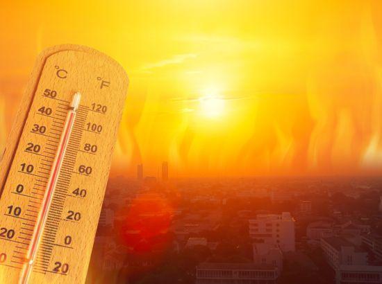 Punjab sizzles as temperatures cross 40°C in 10 districts; Faridkot records season’s high at 45.2°C