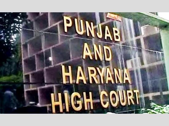 Big jolt to PRTC outsourced workers: HC denies regularization claim