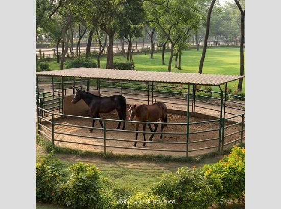 India establishes first internationally recognised Equine Disease-free Compartment
