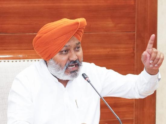 Punjab Govt orders time-bound clearance of pending RCs, driving licences