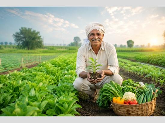 Haryana farmers to get Rs 10,000 per acre every year for switching to organic farming