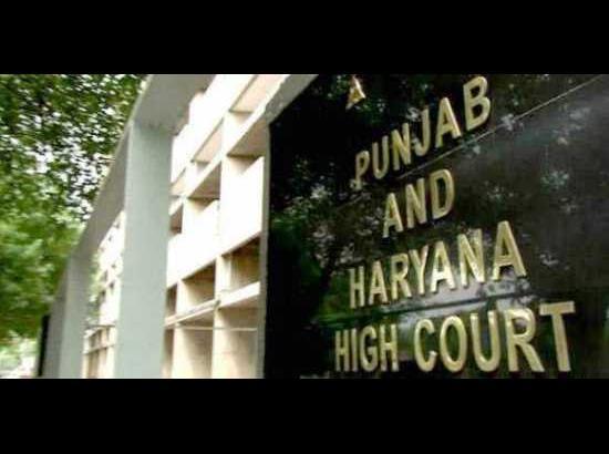 Punjab & Haryana High Court to conduct hearings through video-conferencing from April 23