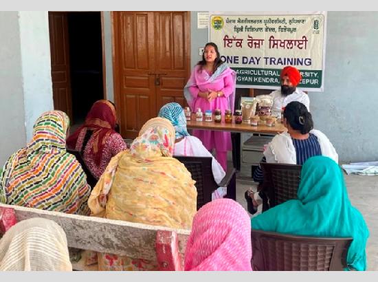 PAU-KVK  holds 'Training Camp on Millets and Value-Added Products' for rural women