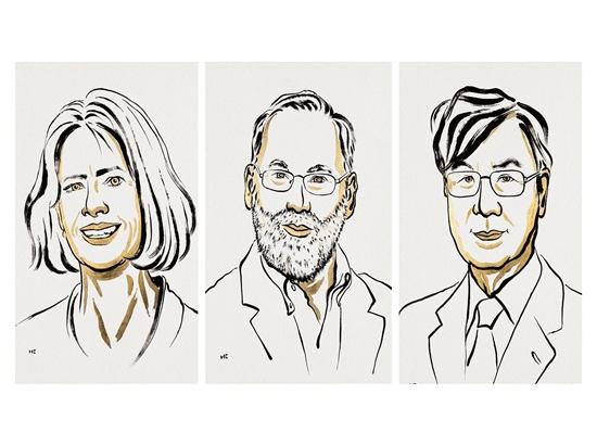 Nobel Prize 2025 awarded to US and Japanese scientists for immune tolerance research