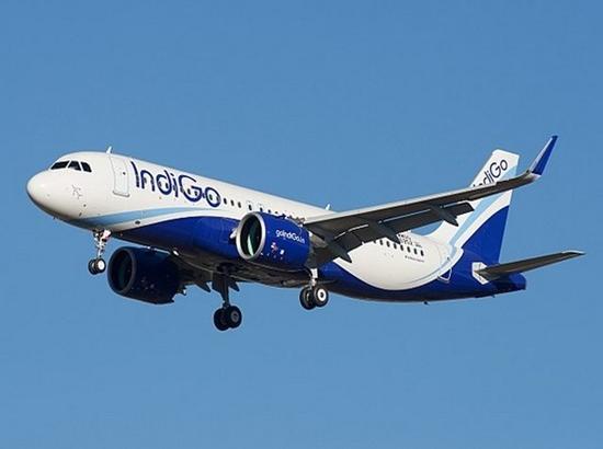 Passenger slapped mid-air on IndiGo flight; Watch Video