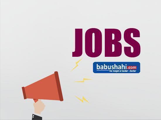 HSSC announces Group Post recruitment, applications open till this date