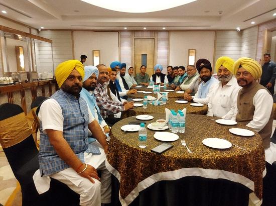 AAP's preparations for Jalandhar by-elections in full swing