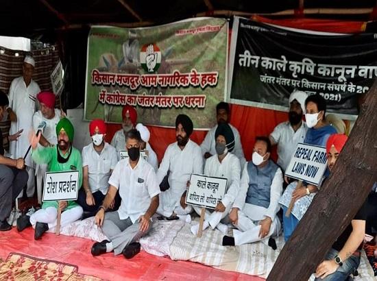 Punjab MPs protest against agriculture laws in Jantar Mantar