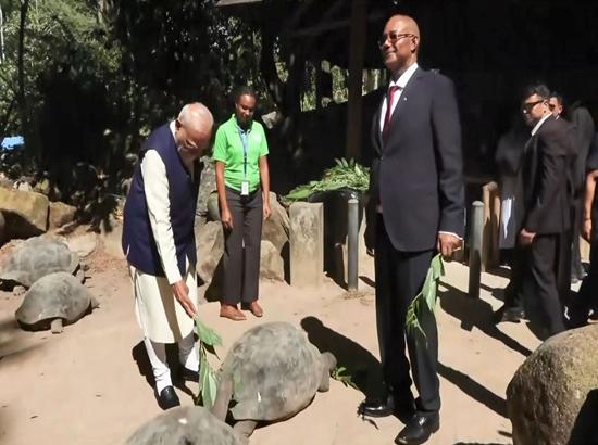 PM Modi feeds world's oldest living land animal 'Jonathan' during Seychelles visit