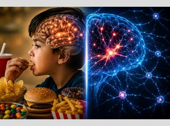 Childhood junk food can rewire brain for life: Study