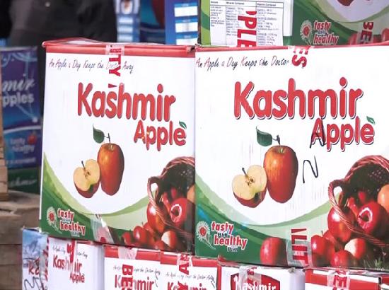 Apple growers in Sopore demand cold storage, trade tax waiver and subsidy on pesticides ahead of J-K assembly polls