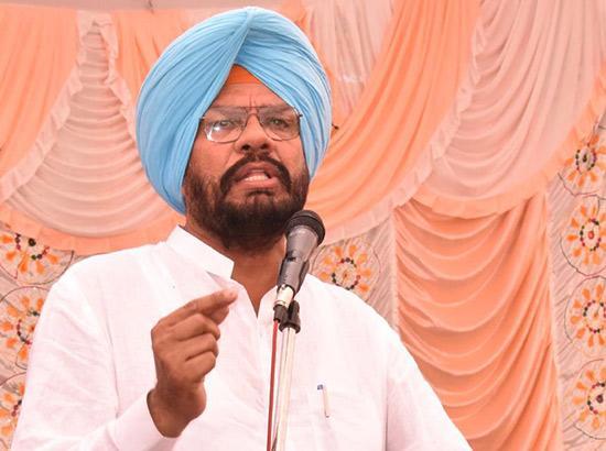 3 Punjabis rescued in Colombia escape again after contacting Agent: Minister Dhaliwal