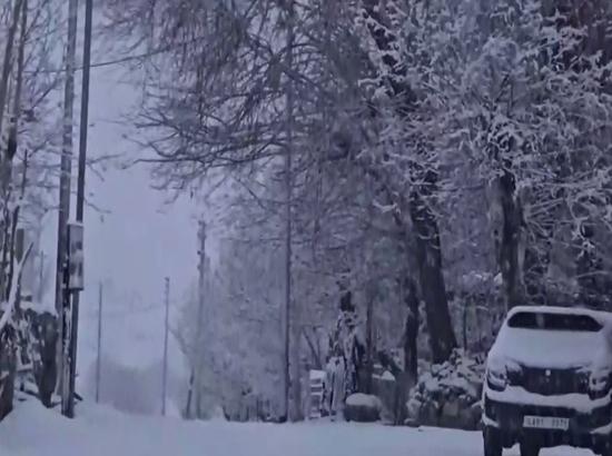 Leh turns into winter wonderland with first snowfall
