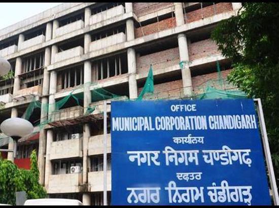 MC Chandigarh restarts of Animal Birth Control (ABC) program for stray dogs