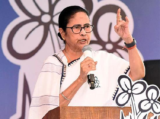 Resignations, merger buzz intensify turmoil within TMC
