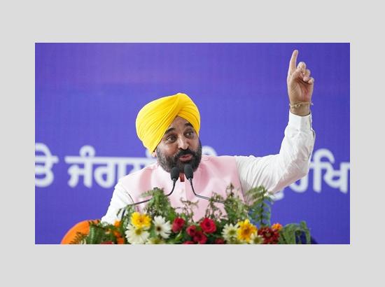 Plant at least four trees around tubewell: Punjab CM urges farmers; Watch Video 