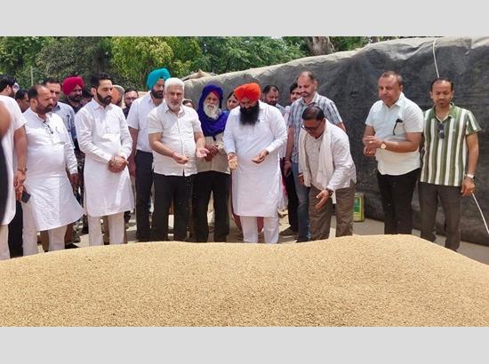 Punjab procures over 24 LMT wheat as arrivals cross 28 LMT; Rs 647 crore released to farmers